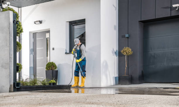 Best Dumpster Area Cleaning  in South Barrington, IL